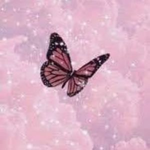 Meet your Posher, Aubrey